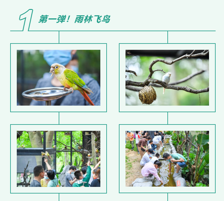 365Ӣ()޹˾-Official website