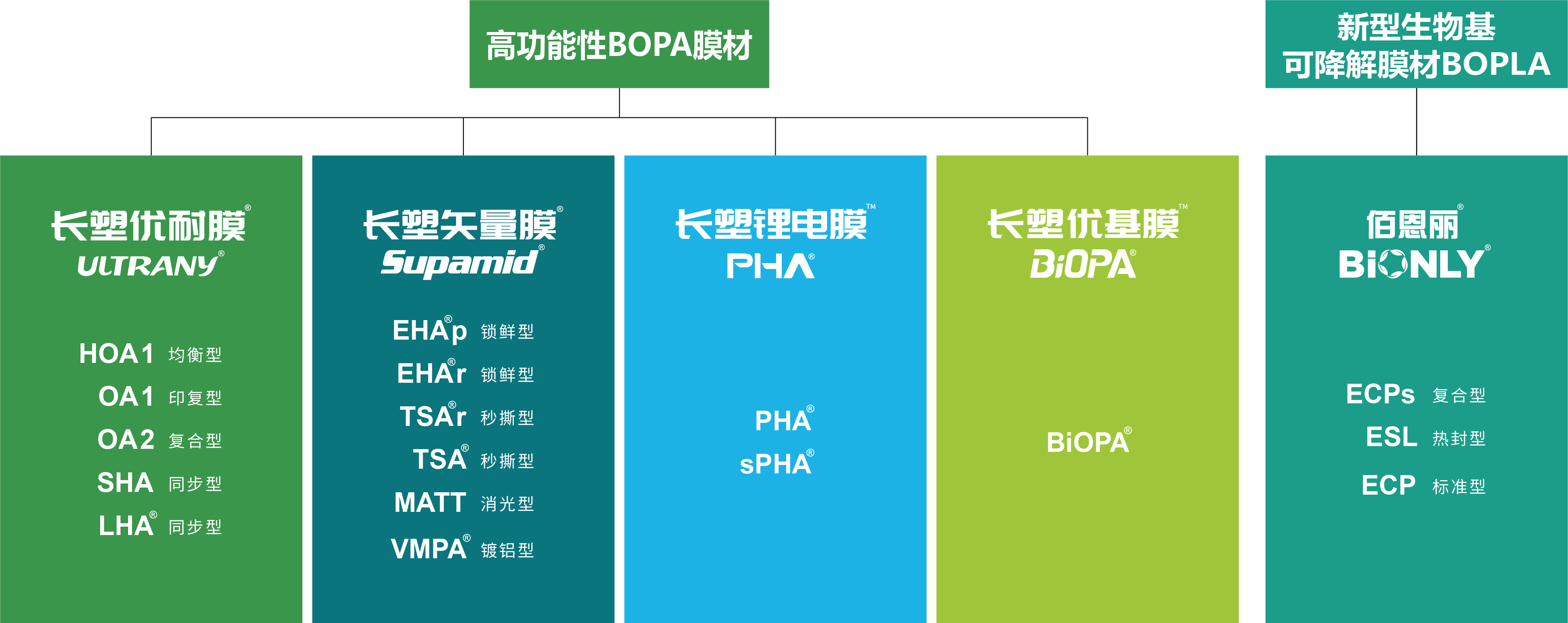 365Ӣ()޹˾-Official website