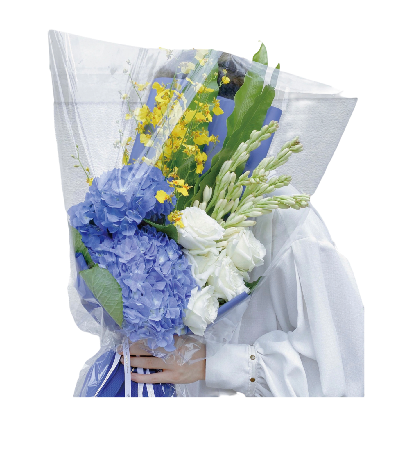 365Ӣ()޹˾-Official website