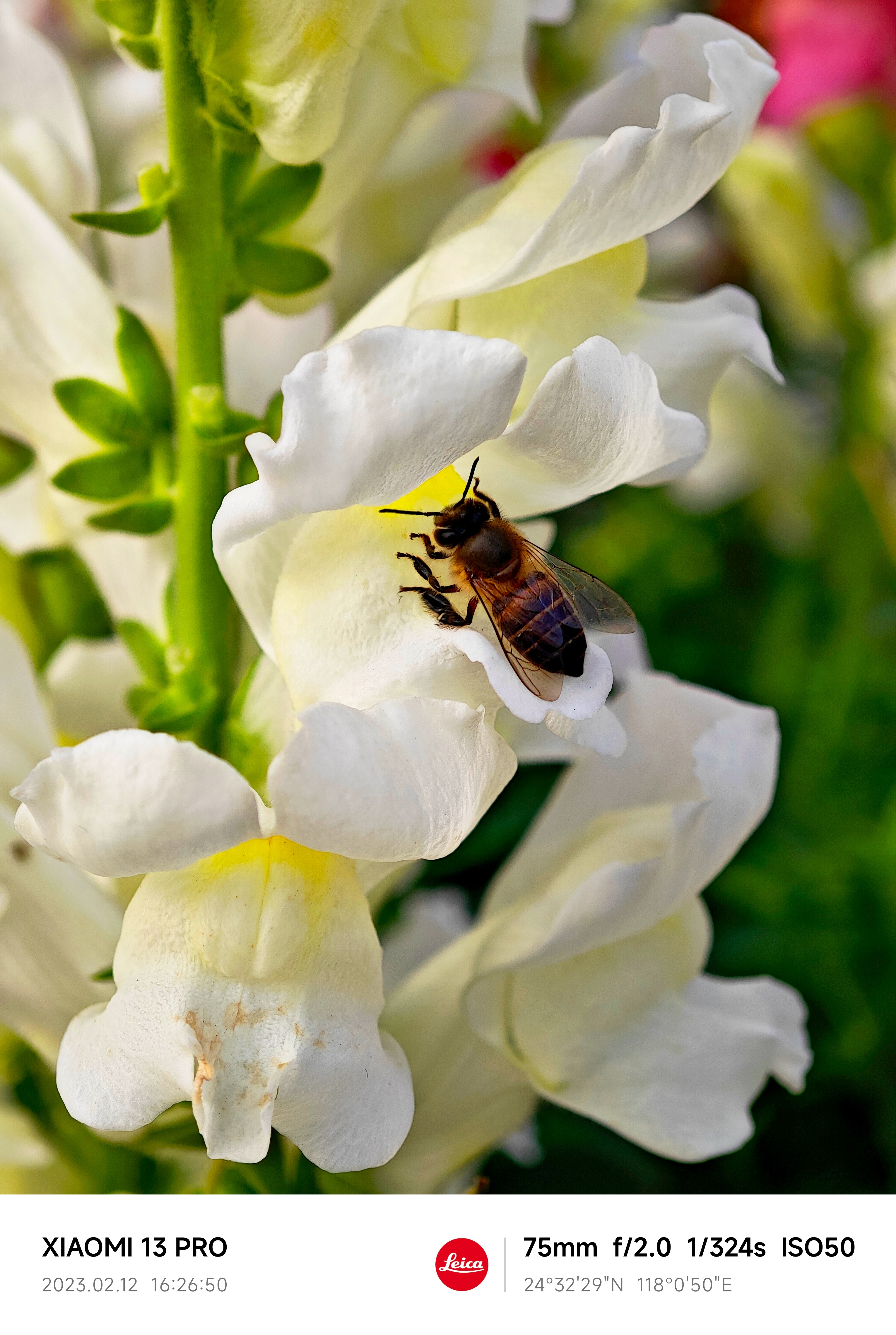 365Ӣ()޹˾-Official website